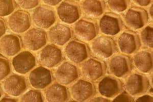 closeup-honeycomb