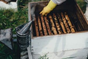 Hive Smoker