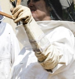 leather-long-cuff-beekeeper-glove