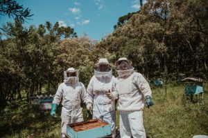 Three beekeepers standing by hive box showing their protective clothing.